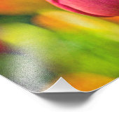 Tulp Collage Foto Afdruk (Hoek)