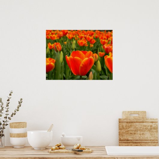 Tulp Delight 2 Poster (Keuken)