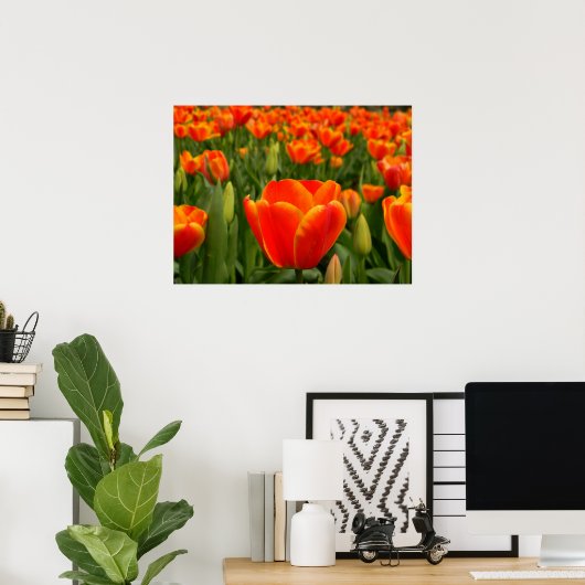 Tulp Delight 2 Poster (Thuiskantoor)