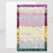 Tulp display garden in de Skagit-vallei, Briefpapier (Voorkant / Achterkant)
