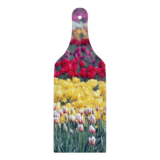 Tulp display garden in de Skagit-vallei, Snijplank (Voorkant)