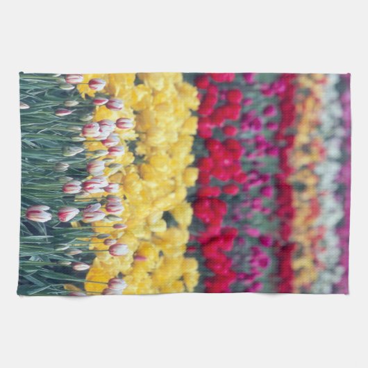 Tulp display garden in de Skagit-vallei, Theedoek (Horizontaal)