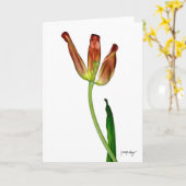 "Tulp" door J. Maya Luz Kaart (Gele Bloem)