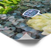 Tulp- en bloemenmarkt in Amsterdam Poster (Hoek)