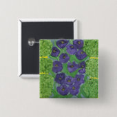 Tulp en Boxhout Vierkante Button 5,1 Cm (Voorkant /achterkant)