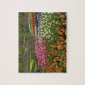 Tulp- en hyacintuinen, Keukenhof Gardens Legpuzzel (Verticaal)