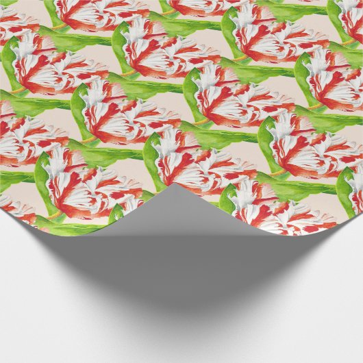 Tulp Estella Rijnveld op een inpakpapier (Hoek)