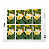 Tulp Etiket (Full Sheet)