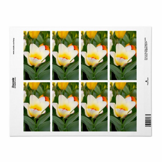 Tulp Etiket (Full Sheet)