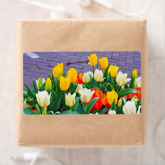 Tulp Etiket (Insitu)