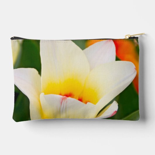 Tulp Etui (Achterkant)