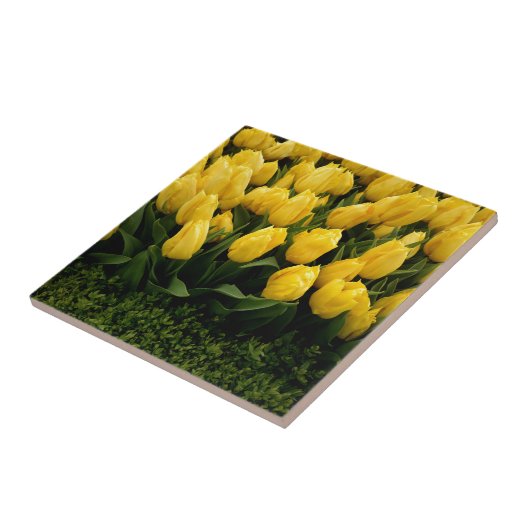 Tulp Festival - 27 Tile Tegeltje (Zijkant)