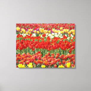 Tulp Festival Colorful Field of Tulps Fine Art Canvas Afdruk