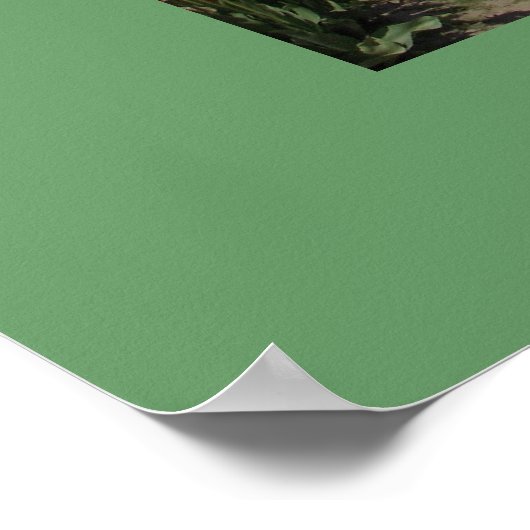 Tulp Festival, Skagit Valley Tulip Festival Poster (Hoek)