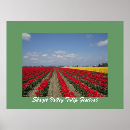 Tulp Festival, Skagit Valley Tulip Festival Poster (Voorkant)