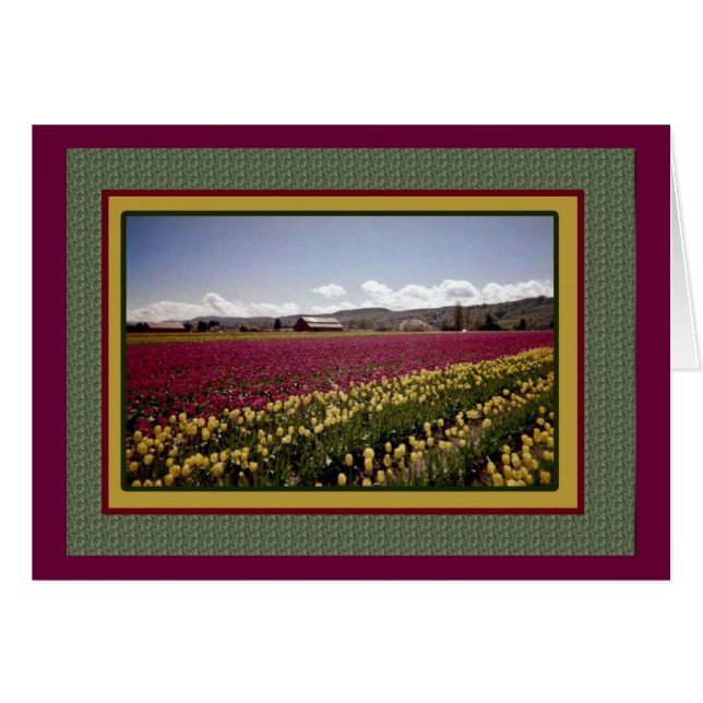Tulp Field Blank Kaart (Voorkant Horizontaal)