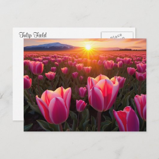 Tulp Field Briefkaart (Voorkant / Achterkant)