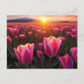 Tulp Field Briefkaart (Voorkant)