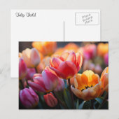 Tulp Field Briefkaart (Voorkant / Achterkant)