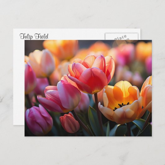 Tulp Field Briefkaart (Voorkant / Achterkant)