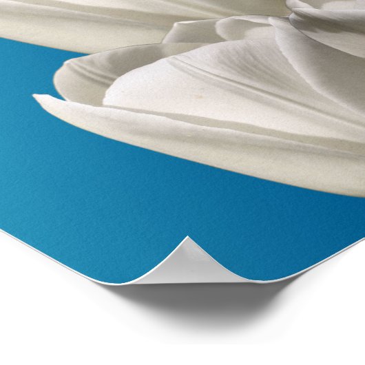 Tulp Flowers Alles is mogelijk Inspirerend Poster (Hoek)