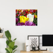 Tulp Flowers Fine Art Prints Tulps Festival (Thuiskantoor)