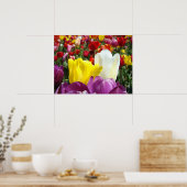 Tulp Flowers Fine Art Prints Tulps Festival (Keuken)