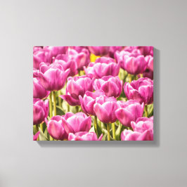 Tulp Flowers in de lentesfoto Canvas Afdruk