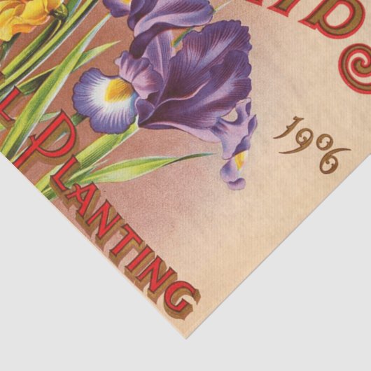  Tulp Flowers Seed Pack Tissuepapier (Detail)