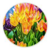 Tulp Flowers - Vlaanderen Keramische Knop (Voorkant)