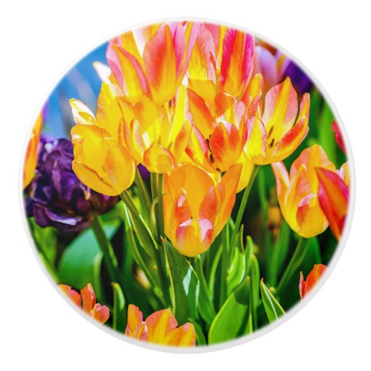Tulp Flowers - Vlaanderen Keramische Knop (Voorkant)