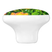 Tulp Flowers - Vlaanderen Keramische Knop (Zijkant)