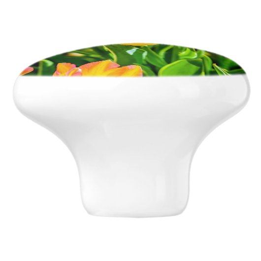 Tulp Flowers - Vlaanderen Keramische Knop (Zijkant)