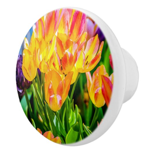 Tulp Flowers - Vlaanderen Keramische Knop (Rechts)