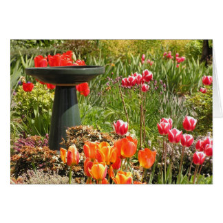 Tulp fountain-kaart