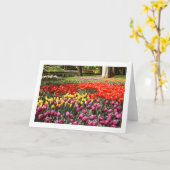 Tulp Galore Gevouwen Leeg Wenskaart Kaart (Gele Bloem)