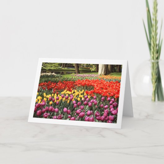 Tulp Galore Gevouwen Leeg Wenskaart Kaart (Voorkant)