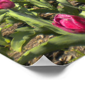 Tulp Garden door het Poster van de Dog (Hoek)