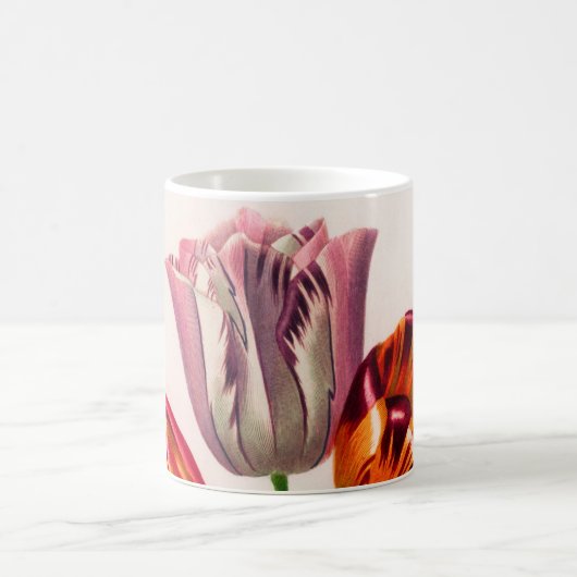 Tulp geïllustreerd koffiemok (Center)
