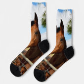 Tulp het bruine paard, Sokken van bemanningsleden (Links)