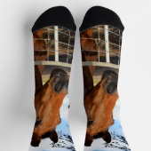 Tulp het bruine paard, Sokken van bemanningsleden (Top)