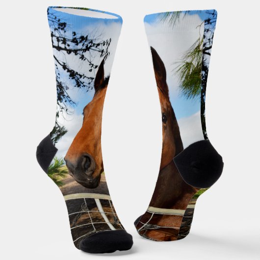 Tulp het bruine paard, Sokken van bemanningsleden (Gebogen)