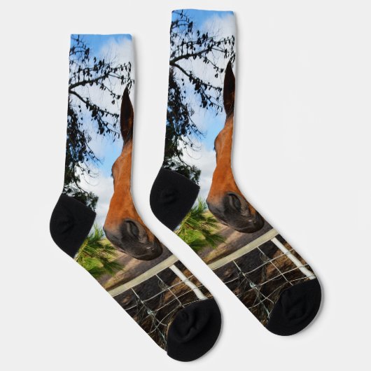 Tulp het bruine paard, Sokken van bemanningsleden (Rechts)