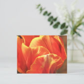 Tulp in brand briefkaart (Staand voorkant)
