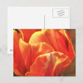 Tulp in brand briefkaart (Voorkant / Achterkant)