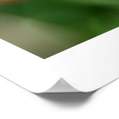 Tulp in de lente poster (Hoek)