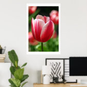 Tulp in de lente poster (Thuiskantoor)