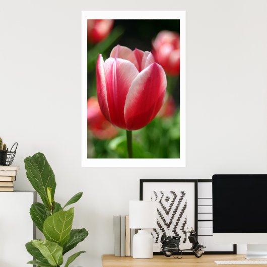 Tulp in de lente poster (Thuiskantoor)