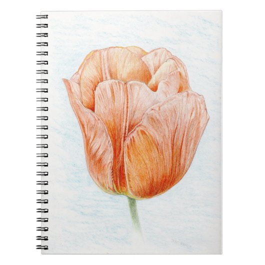 Tulp in peach notitieboek (Voorkant)