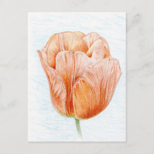Tulp in prachtige kleurenweergave briefkaart